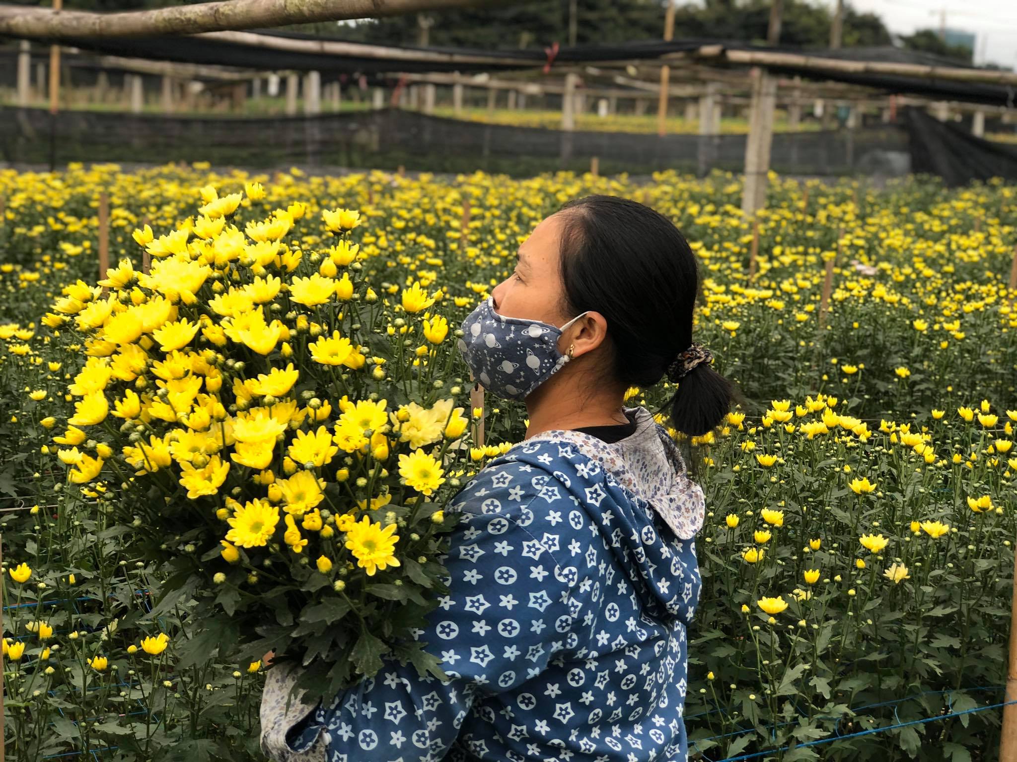 Chị Huyền (37 tuổi), một người bán hoa nơi đây chia sẻ, lượng hoa tươi hiện nay tuy đã giảm hơn một nửa so với giá thành, thế nhưng vẫn không bán được là bao.