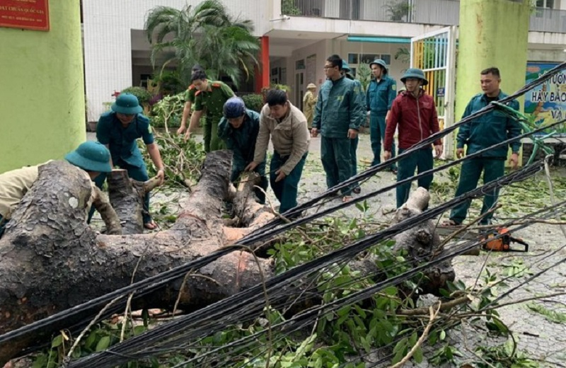 Các lực lượng tham gia dọn dẹp cây cối, cưa cây gãy đổ do bão trên đường phố ở Huế