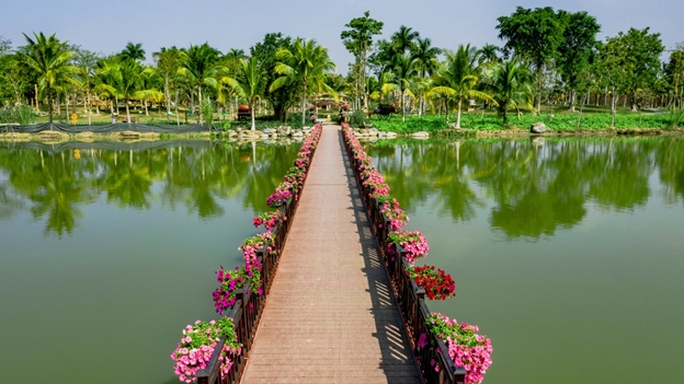 Cây cầu này được trồng rất nhiều hoa tím, nổi bật trên làn nước xanh ngắt ở công viên hồ Thiên Nga đẹp nhất Ecopark.