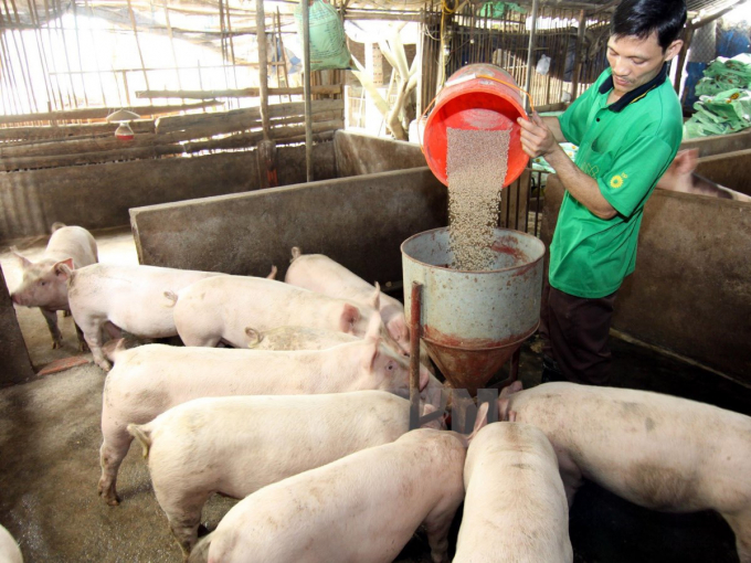 Giá lợn hơi hôm nay 14/3, giá heo hơi miền Bắc đã bắt đầu giảm, đỉnh 92.000 đồng/kg không được duy trì, tuy nhiên nhiều nơi vẫn giữ mức giá trên 80.000 đ/kg.