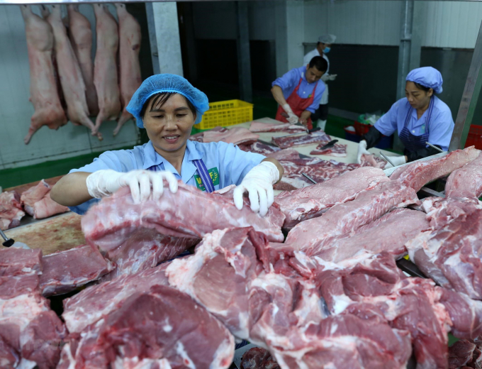 2 tuần đầu tháng 3, giá lợn hơi đã tăng mạnh trở lại trên cả nước
