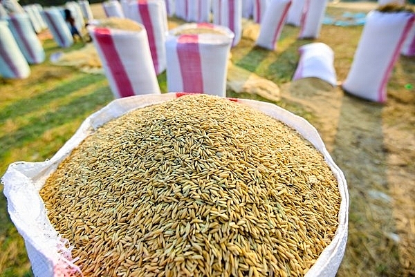 Bảng giá gạo hôm nay 28/3, cảnh báo của FAO về nguy cơ thiếu hụt lương thực trên toàn cầu khiến chúng ta kiểm soát, thận trọng trong xuất khẩu gạo.
