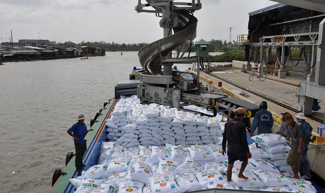 Bảng giá gạo hôm nay 31/3, đầu tuần mới giá gạo bán lẻ trong nước đang ở mức cao, loại TP IR 504 vượt mức 9.200 đồng/kg do nhu cầu thu mua từ kho.