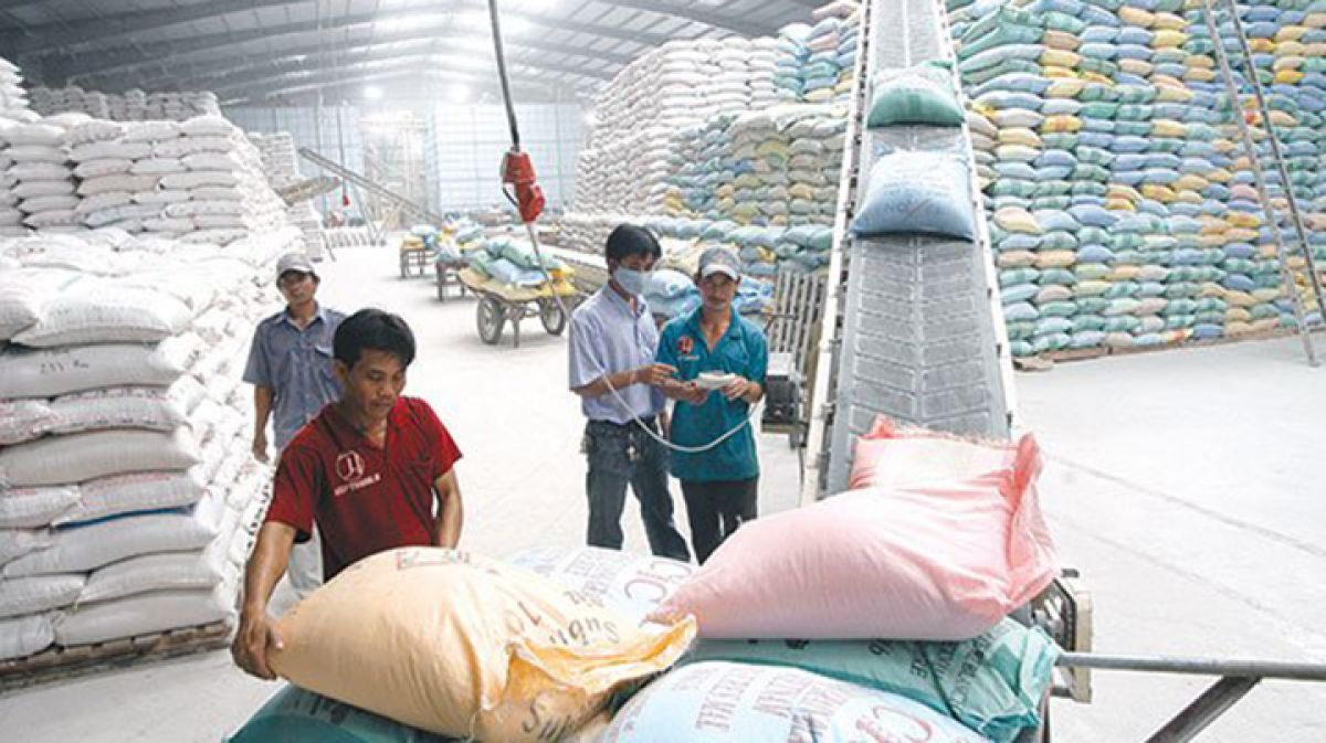 Giá gạo trong nước tăng mạnh do găm hàng, thao túng giá?