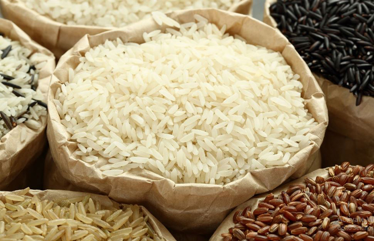 Giá lúa gạo hôm nay 8/4 tiếp tục tăng giá ở các chủng loại TP IR 504 và NL IR 504, nhu cầu thu mua từ kho nhà vẫn đang ảm đạm.