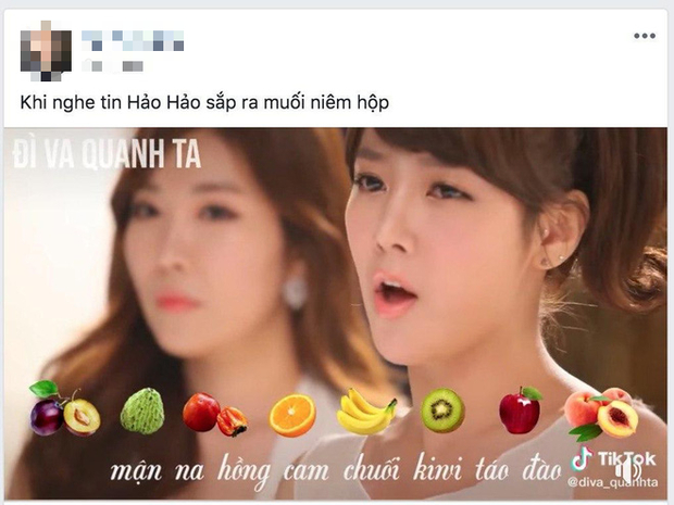 Muối chấm Hảo Hảo chưa bán, sao Việt T-Ara và Davichi hát các loại quả