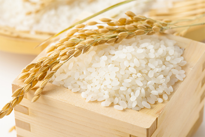 Giá gạo hôm nay 12/4, bảng giá gạo miền Tây, giá gạo tẻ, giá gạo bán lẻ, dự báo giá lúa gạo thời gian tới