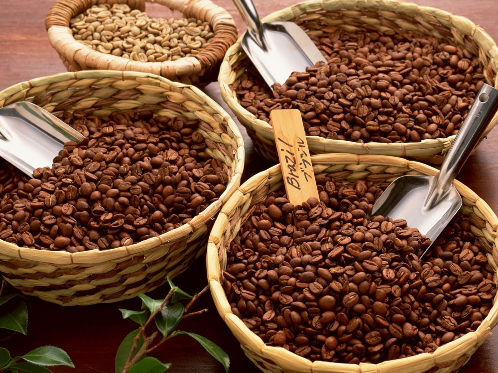 Giá cà phê hôm nay 12/4, cập nhật giá cà phê Tây Nguyên, giá cà phê nguyên liệu, giá cà phê Lâm Đồng, Đắk Nông, Gia Lai