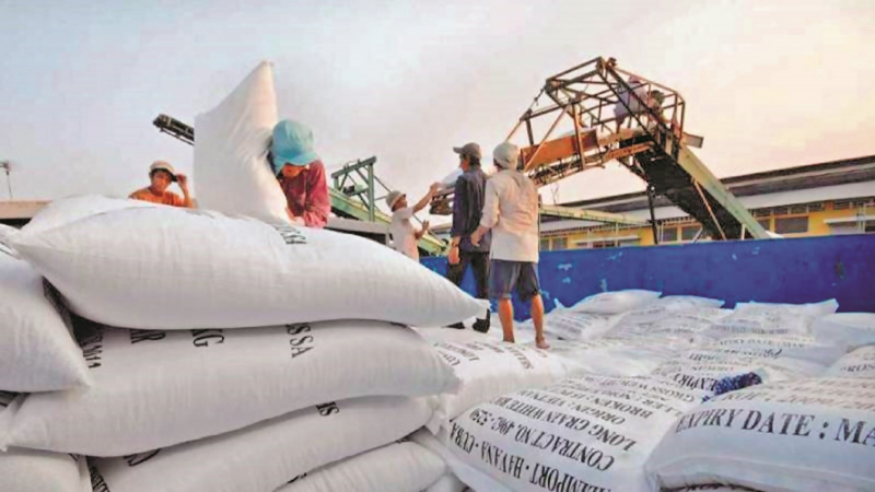 Giá gạo hôm nay 24/4, Tổng cục Hải quan tiếp nhận tờ khai đăng ký xuất khẩu gạo nếp, thóc nếp và tấm nếp.