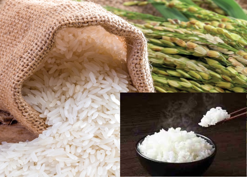 Giá gạo hôm nay 1/5, Chính phủ chính thức cho phép xuất khẩu gạo trở lại trong bối cảnh giá lúa gạo tăng cao nông dân trồng lúa được hưởng lợi.