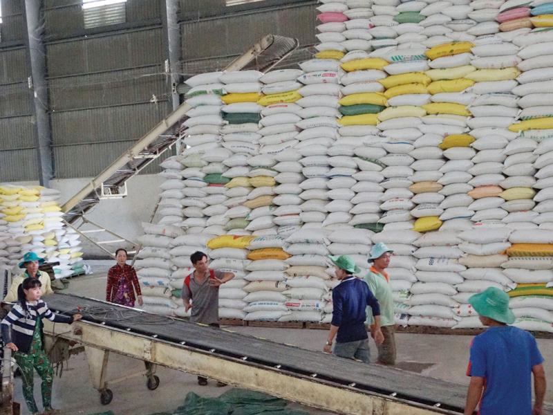 Hiện giá gạo trên thị trường thế giới cực kỳ sôi động, thậm chí có thời điểm vọt tăng lên mức cao nhất 7 năm trở lại đây.