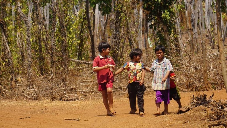 Những đứa trẻ ở làn Sul, xã Kong Htok, huyện Chư Sê đi chơi trong một buổi trưa nắng. Sau lưng các em bé là một vườn tiêu khô cháy...