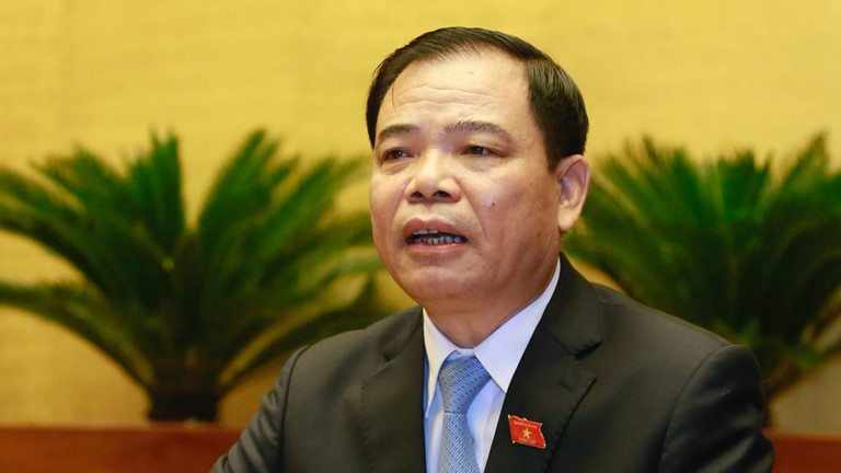 Bộ trưởng Nguyễn Xuân Cường cho rằng giải pháp khác để giảm giá thịt heo là 