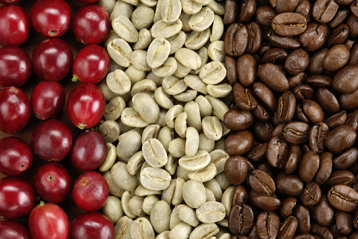 Giá cà phê hôm nay 22/6, giá cà phê thế giới hồi phục, sắc xanh ngập tràn cuối tuần qua, dự báo giá cà phê Tây Nguyên và miền Nam sẽ tăng trở lại.