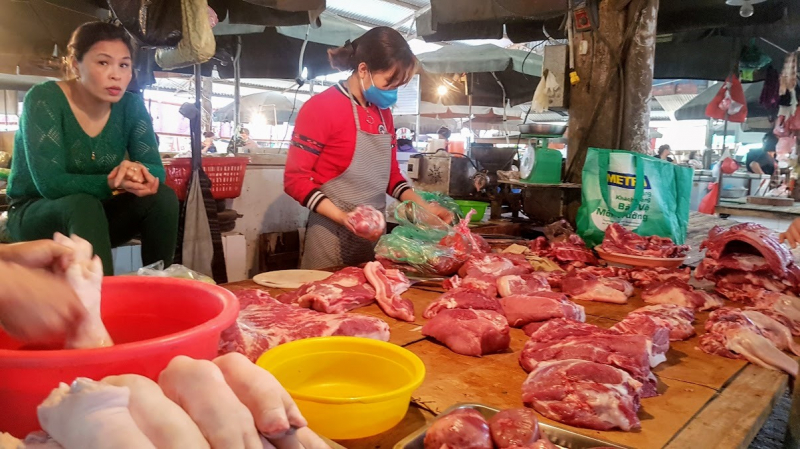 Bảng giá thịt heo hơi hôm nay 16/7, diễn biến thị trường lợn hơi đầy bất ngờ dù giá heo sống tăng nhưng Thái Lan cấm xuất sang Việt Nam.
