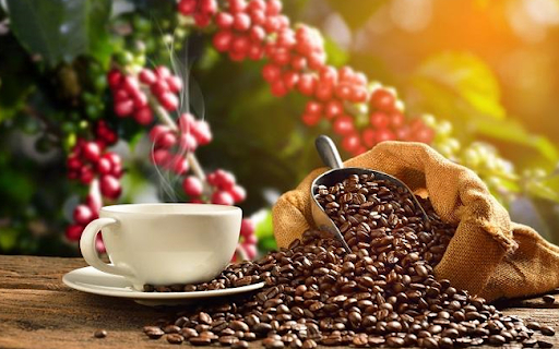 Giá cà phê hôm nay 7/8, giá cà phê Tây Nguyên, miền Nam ghi nhận giảm mạnh theo giá cà phê thế giới vào sáng nay. Đà giảm dao động 600 - 800 đồng/kg.