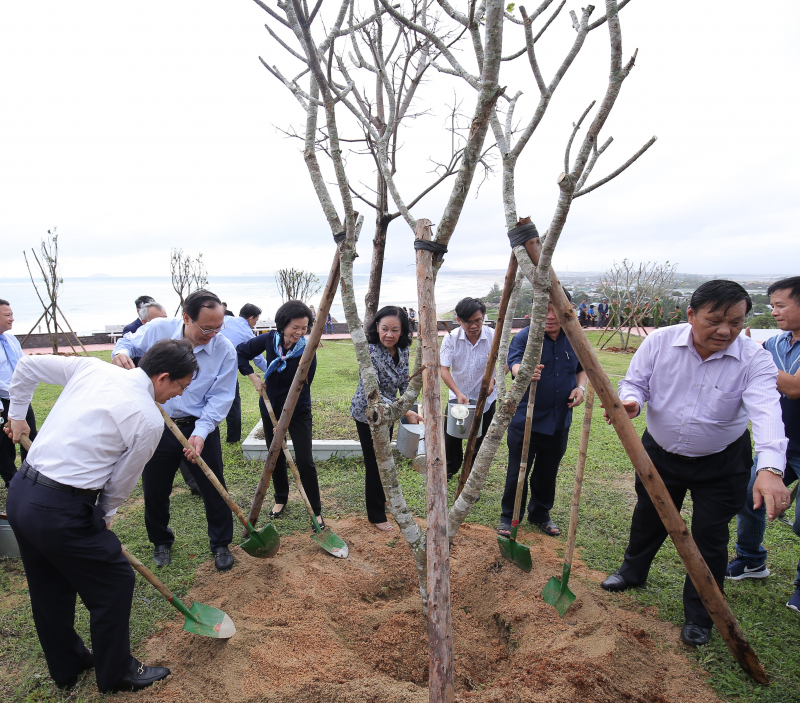Vinamilk và Quỹ 1 triệu cây xanh cho Việt Nam trồng cây tại Bình Định vào năm 2019