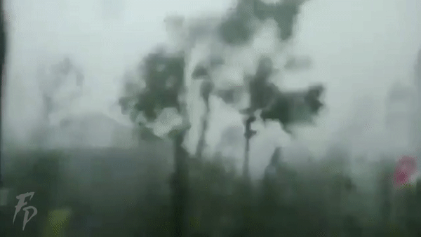  Goni là cơn bão mạnh nhất năm 2020 của nước này.