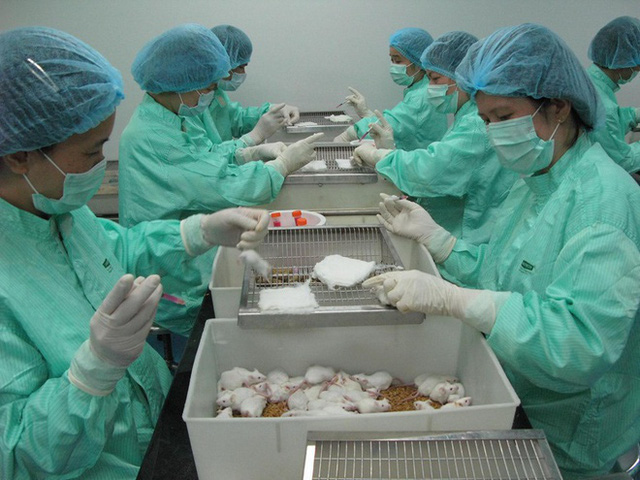  Vaccine Covid-19 của Việt Nam đang dừng lại ở giai đoạn thử nghiệm tiền lâm sàng. Ảnh: VABIOTECH.