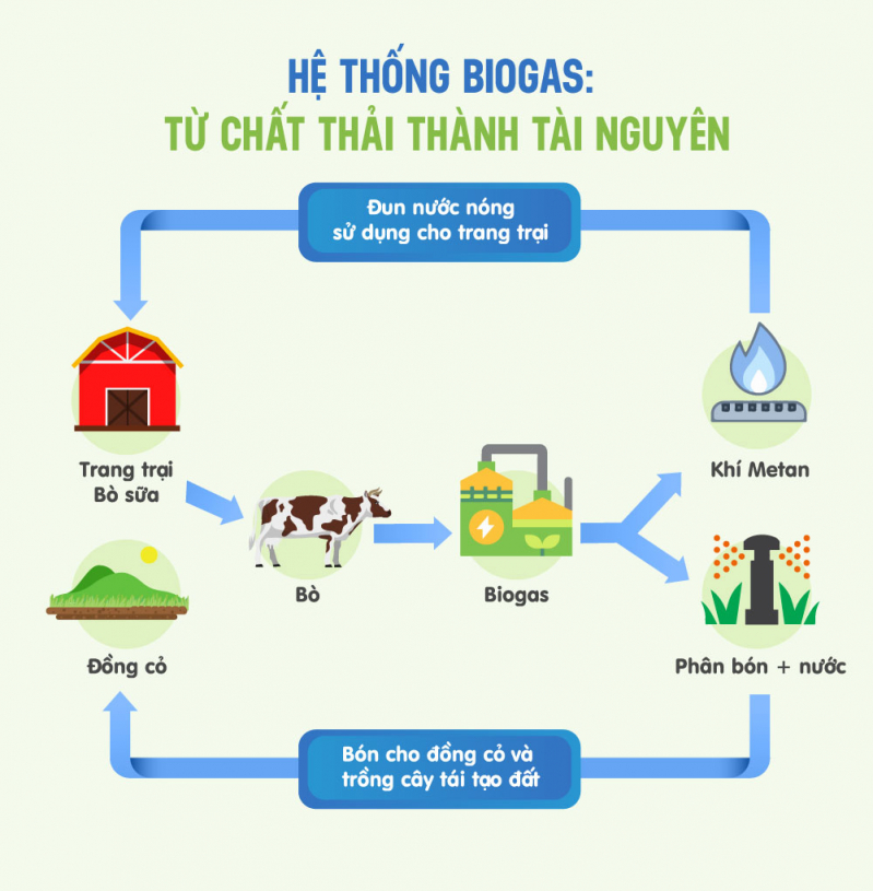 Mô hình “kinh tế tuần hoàn” ứng dụng trong hệ thống Biogas và vòng tròn quản lý nguồn đất bền vững tại các trang trại bò sữa Vinamilk