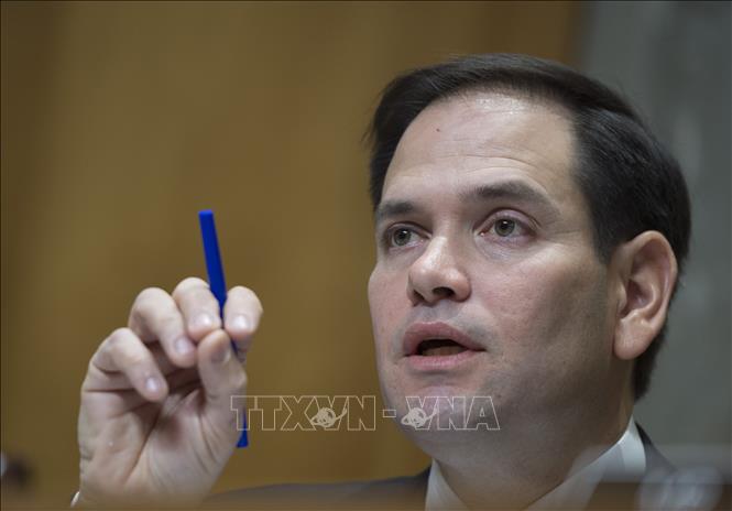 Thượng nghị sĩ Marco Rubio thuộc đảng Cộng hòa. Ảnh: AFP/ TTXVN
