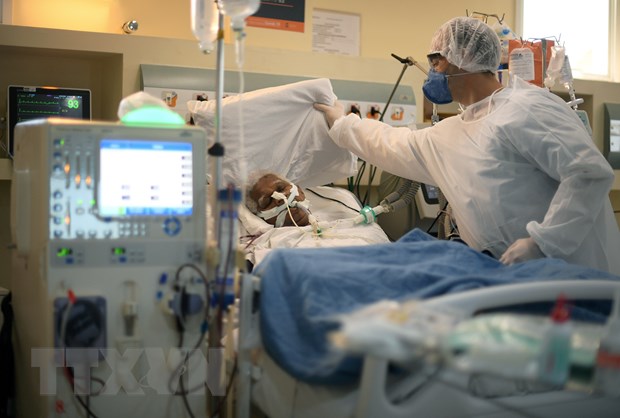 Nhân viên y tế chăm sóc bệnh nhân COVID-19 tại bệnh viện ở Niteroi, Rio de Janeiro, Brazil, ngày 22/6/2020. (Nguồn: AFP/TTXVN)