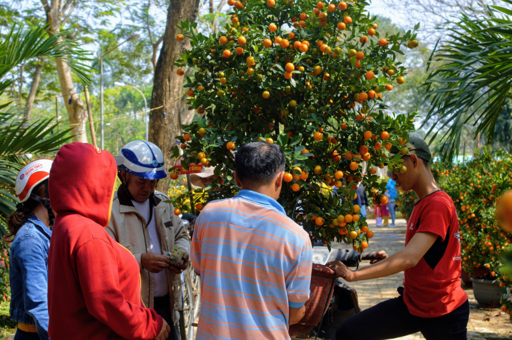 Đáng chú ý, có những khu chợ hoa lớn như chợ hoa ở công viên Phú Xuân cạnh sông Hương, khu chợ hoa ở Trung tâm Văn hóa Thông tin tỉnh Thừa Thiên - Huế…