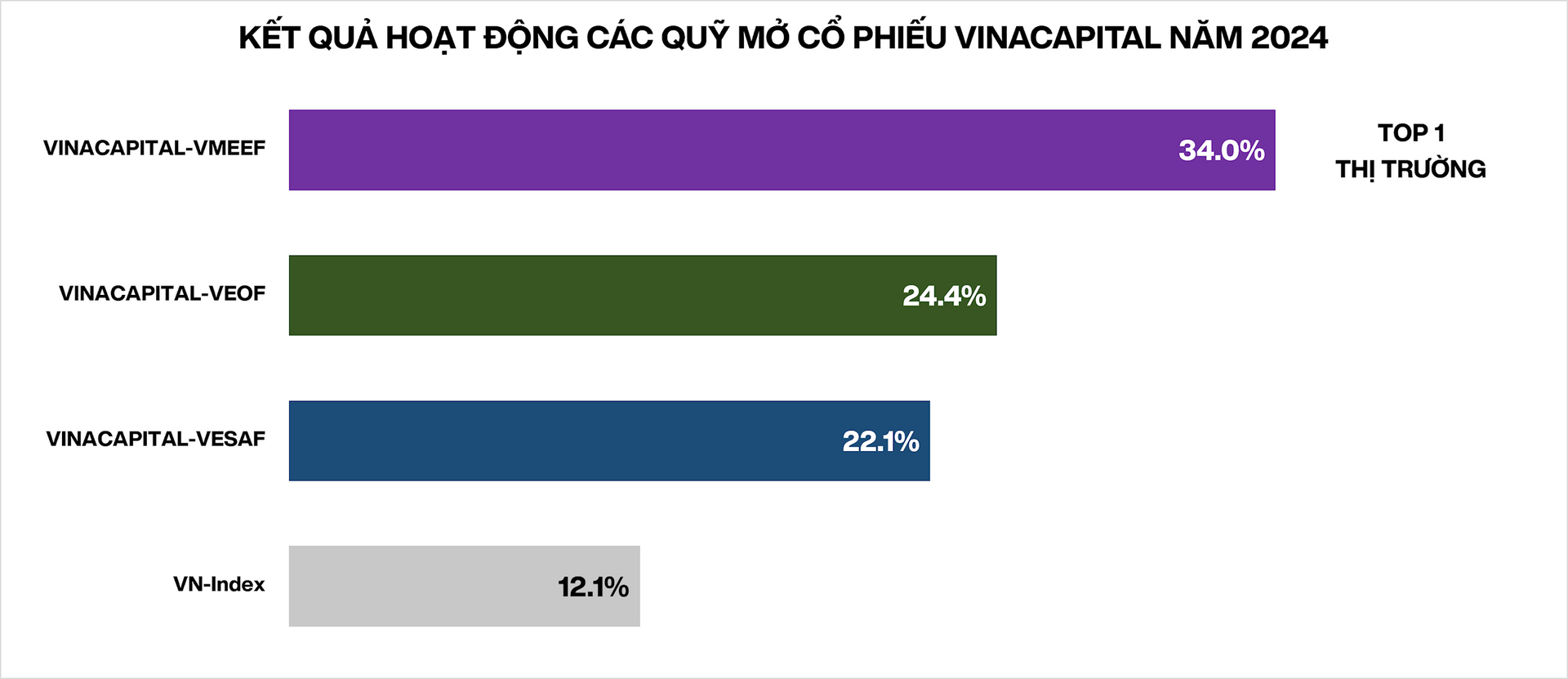 vinacapital-equity-funds-2024-vn.png