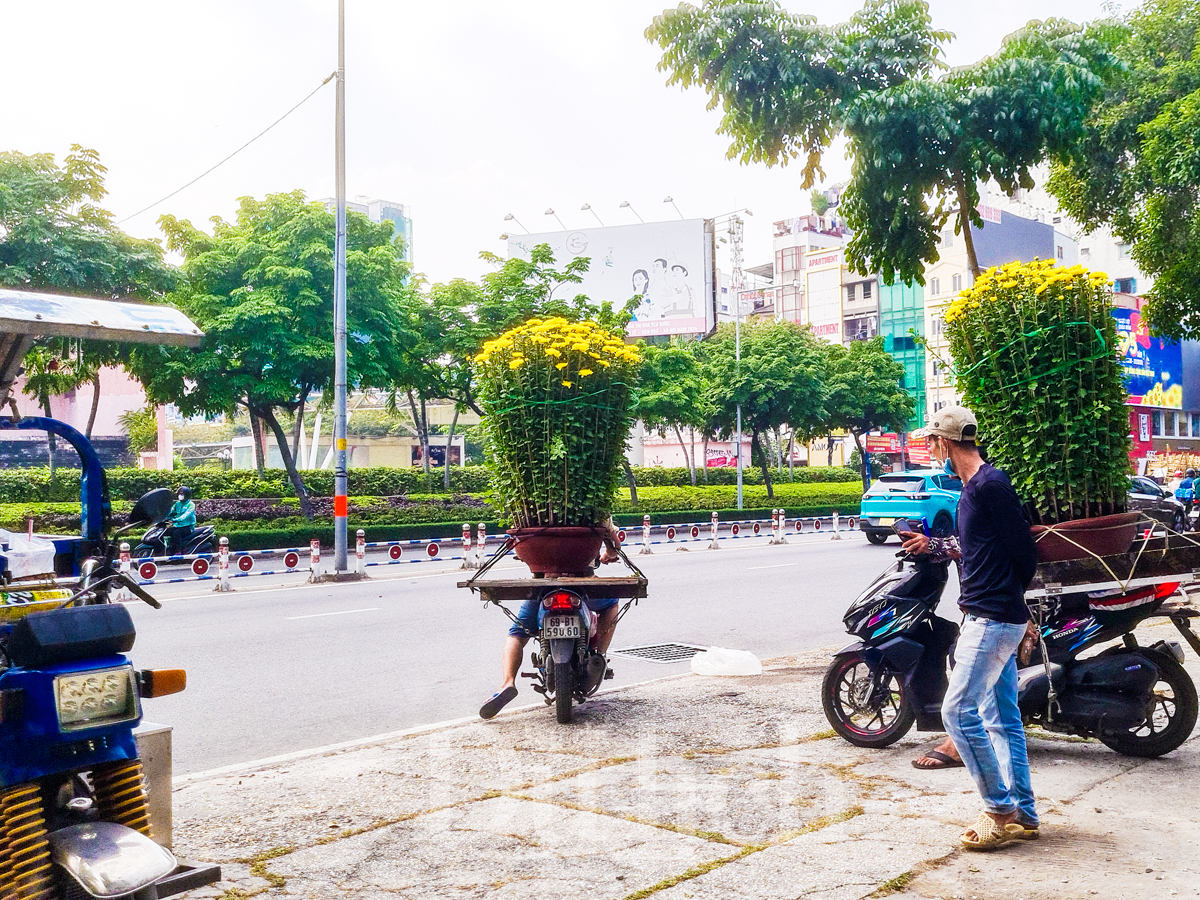 Giá vận chuyển bất ngờ tăng cao, hoa kiểng chưng tết năm nay nhích giá - 6