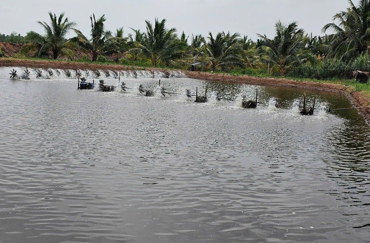 xuat-khau-ca-ro-phi-4-1745937185.jpg