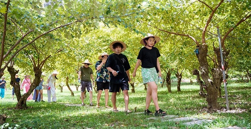 du-lich-nong-nghiep1-1746799027.jpg
