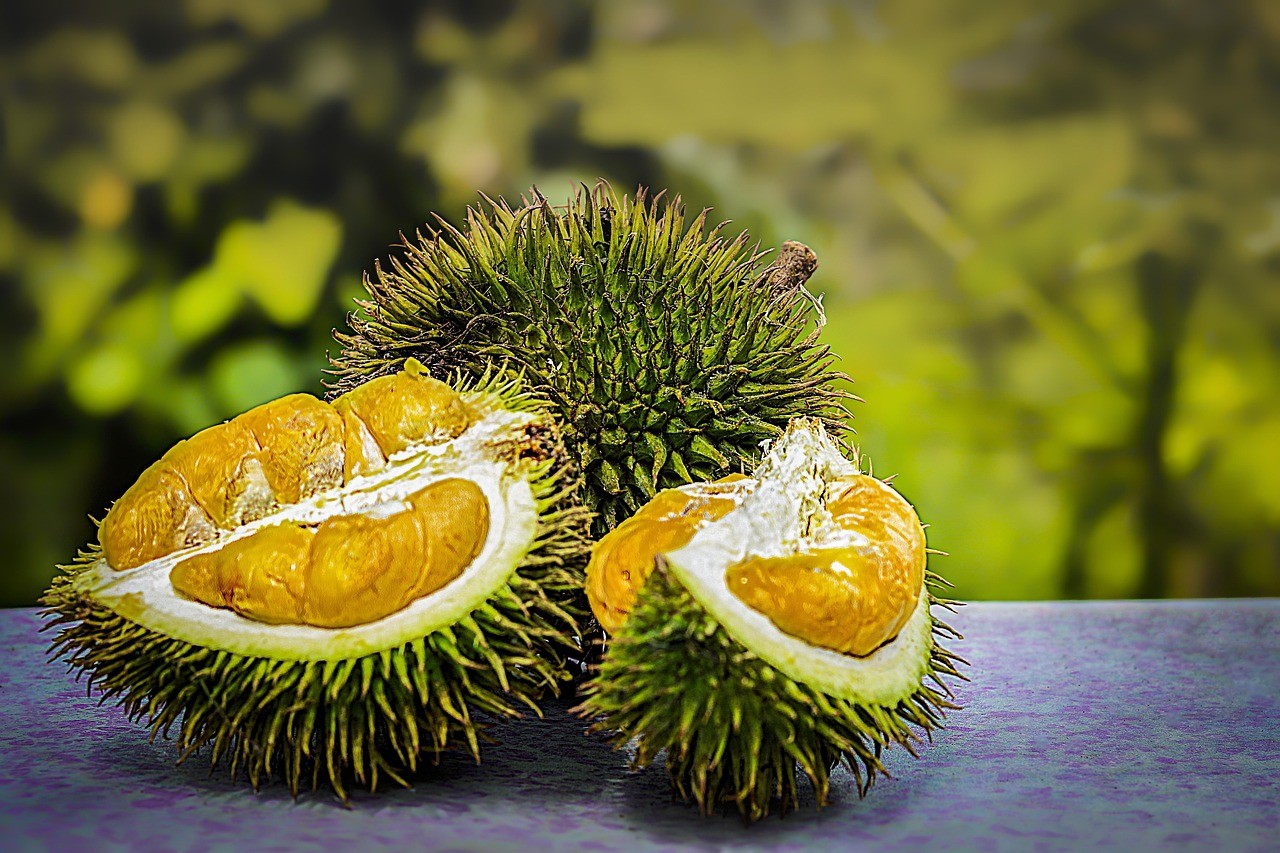 durian-3597242-1280-1747880072.jpg