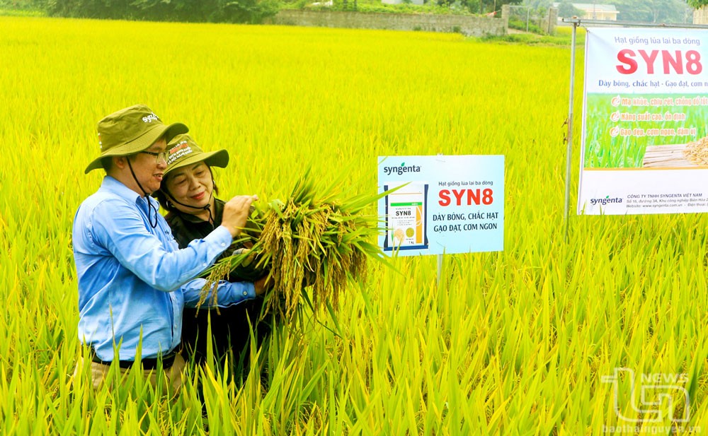 nong-nghiep-thai-nguyen-1-20241226094409-1747994131.jpg