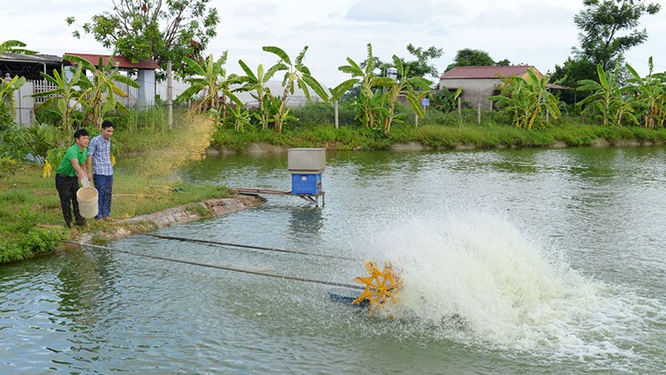 nuoi-ca-bac-giang-1748140425.jpg