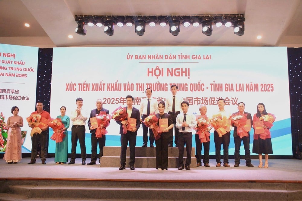 gia-lai-06-1755572116.jpg