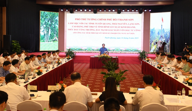 Phó Thủ tướng Bùi Thanh Sơn làm việc với 5 địa phương để thúc đẩy tăng trưởng, đầu tư công- Ảnh 2.