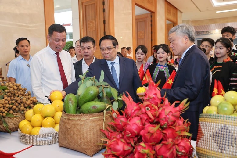 TỔNG THUẬT: Hội nghị tổng kết chương trình và phong trào thi đua xóa nhà tạm, nhà dột nát- Ảnh 8.