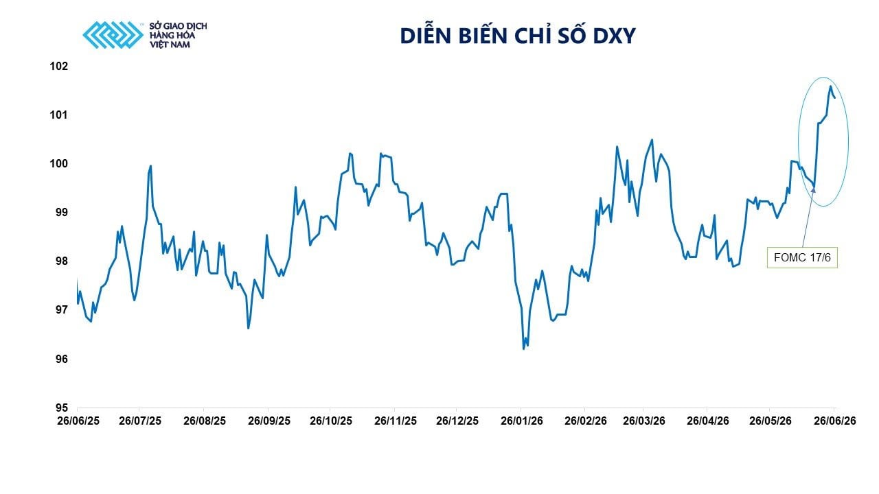 anh-5_-dien-bien-chi-so-dxy.jpg