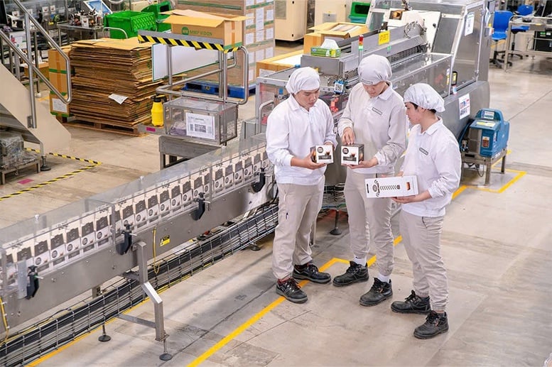 Nestlé Việt Nam: Nghị quyết 10 tạo động lực cho FDI đầu tư thực chất, dài hạn- Ảnh 1.