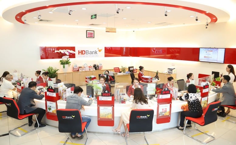 Fitch Ratings lần đầu xếp hạng HDBank với các mức đánh giá thuộc nhóm cao nhất- Ảnh 2.