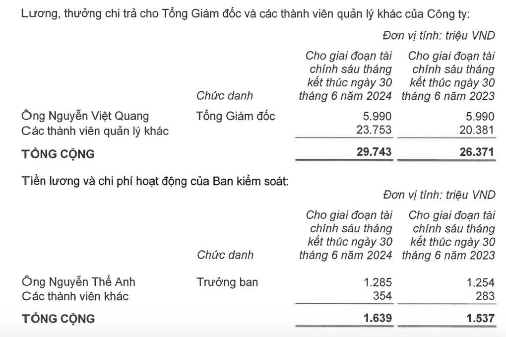 Thù lao, thu nhập những cánh tay phải tỷ phú Phạm Nhật Vượng gây bất ngờ - 3