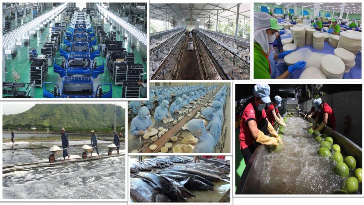 TỔNG BÍ THƯ TÔ LÂM VÀ TƯ DUY LÝ LUẬN MỚI VỀ KINH TẾ TƯ NHÂN- Ảnh 5.