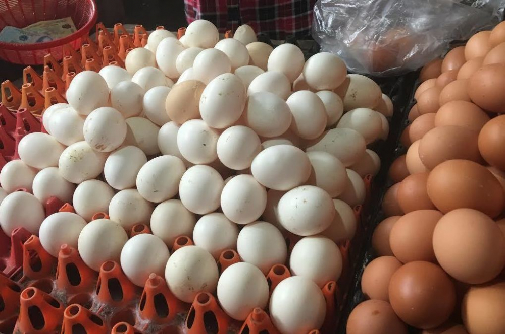 Người chăn nuôi đang thua lỗ nặng do giá trứng gia cầm giảm mạnh