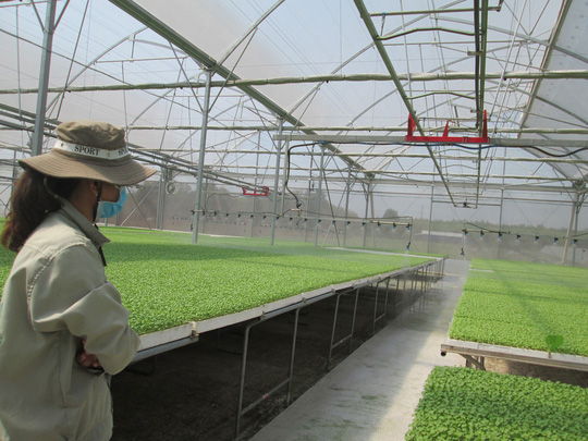 Một trang trại trồng rau tự động của VinEco ở Đồng Nai Ảnh: NGỌC ÁNH    
