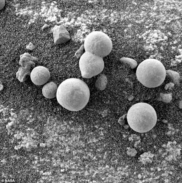 Hình ảnh được cho là nấm phát triển trên sao Hỏa. (Ảnh: NASA)     