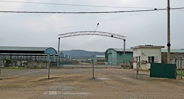 Chuồng trại nuôi bò của Công ty CP Bình Hà bỏ hoang. (Ảnh: Hữu Anh)    