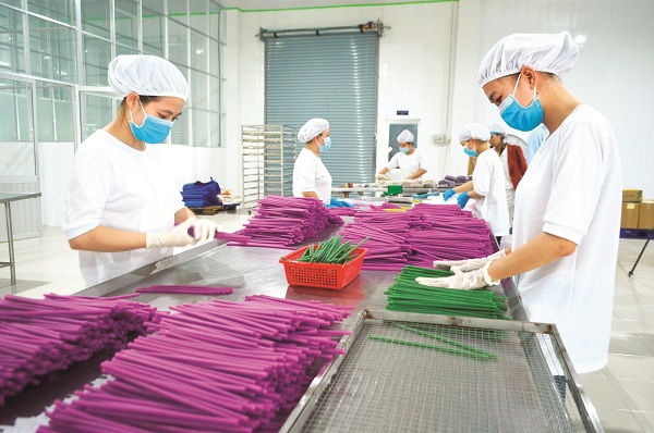 Ống hút bột gạo do Công ty TNHH Thực phẩm Hùng Hậu ở thành phố Sa Đéc, Đồng Tháp sản xuất có thể ăn được sau khi sử dụng. (Ảnh: Internet).