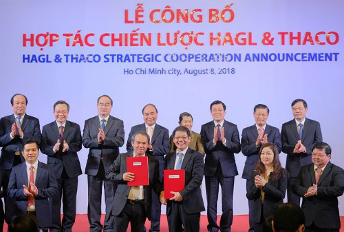 Lễ công bố hợp tác chiến lược giữa HAGL và Thaco, tháng 8/2018.    