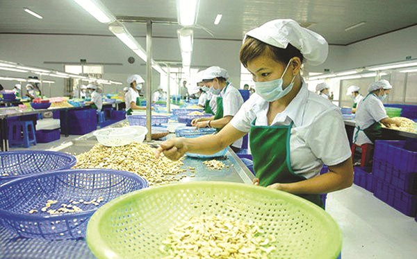 Hạt điều sấy khô là một trong những sản phẩm Việt Nam được ưa chuộng hàng đầu tại Thái Lan. (Ảnh: Minh họa).