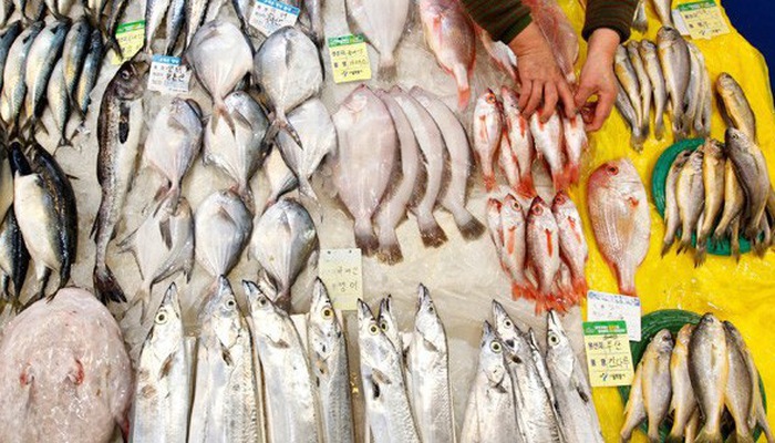 Xuất khẩu cá tra sang thị trường Nhật Bản tăng đột biến trong 4 tháng đầu năm, top 10 thị trường nhập khẩu lớn cá tra nhiều nhất của Việt Nam. Ảnh minh hoạ.    